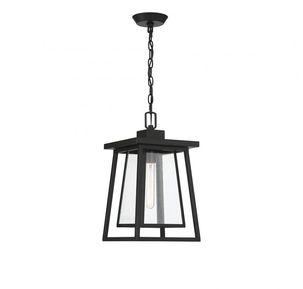 Denver 1-Light Outdoor Hanging Lantern in Matte Black