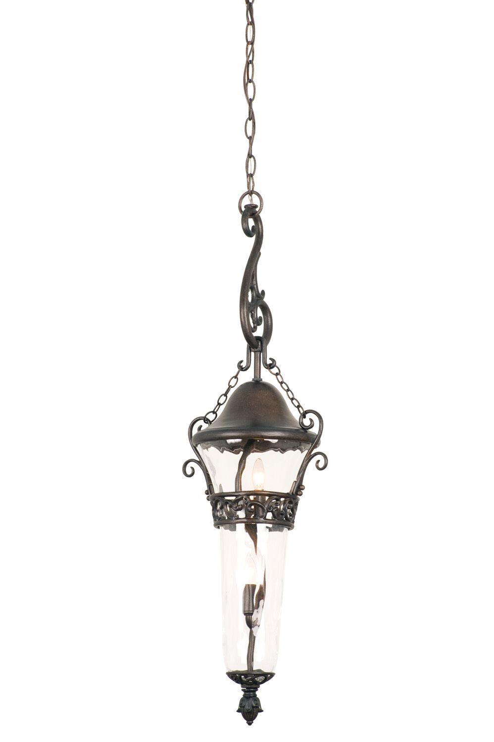 Anastasia Outdoor 2 Light Medium Hanging Lantern