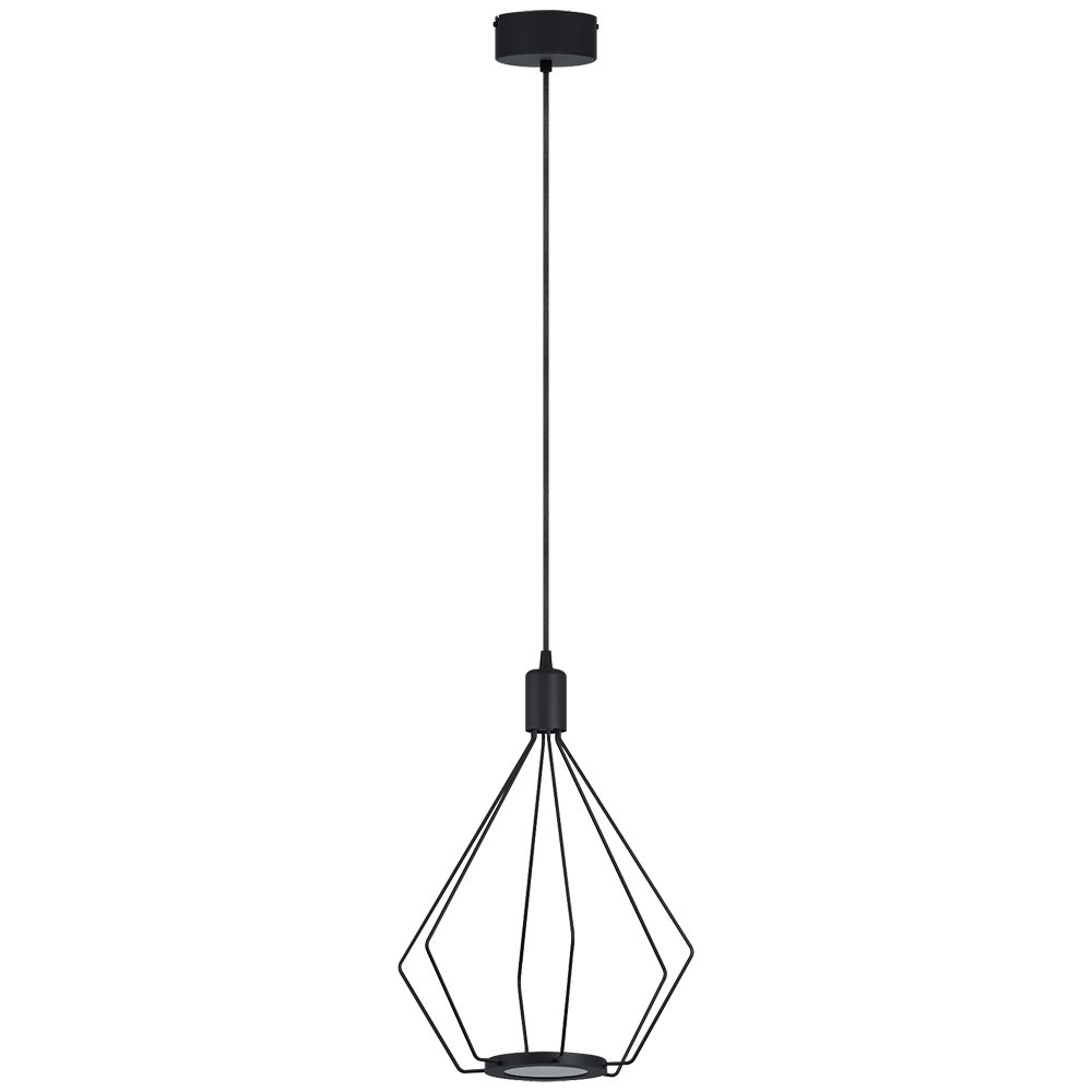 LED Pendant w/ Black Finish