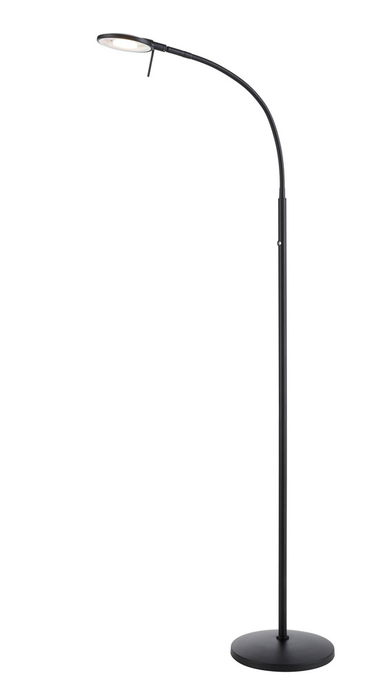 Dessau Flex Gooseneck Floor Lamp