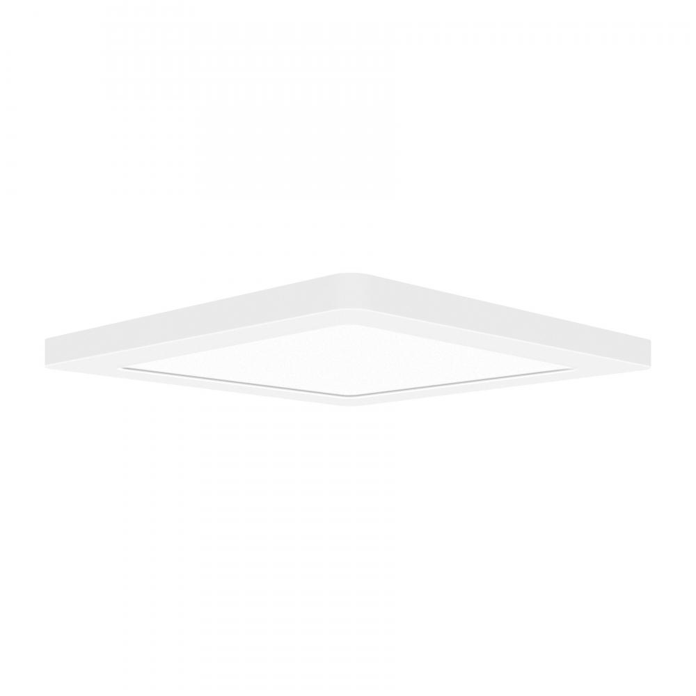 Dual Voltage LED Flush Mount