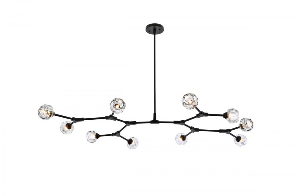 Zayne 10 Light Pendant in Black