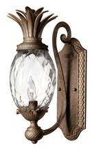 Hinkley 4140PZ - Medium Single Light Sconce